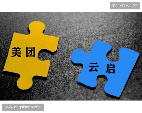 华体会app官网赞助国米合作的背景与行业内的合作模式分析